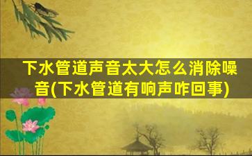 下水管道声音太大怎么消除噪音(下水管道有响声咋回事)