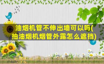 油烟机管不伸出墙可以吗(抽油烟机烟管外露怎么遮挡)