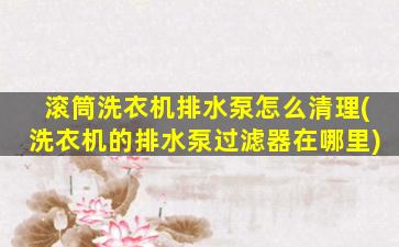 滚筒洗衣机排水泵怎么清理(洗衣机的排水泵过滤器在哪里)