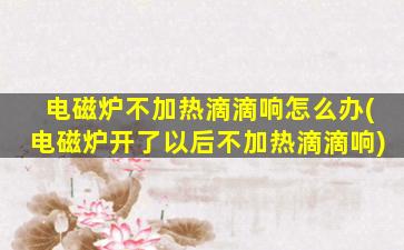 电磁炉不加热滴滴响怎么办(电磁炉开了以后不加热滴滴响)