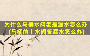 为什么马桶水阀老是漏水怎么办(马桶的上水阀管漏水怎么办)