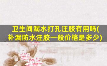 卫生间漏水打孔注胶有用吗(补漏防水注胶一般价格是多少)