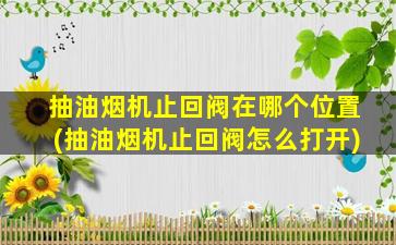 抽油烟机止回阀在哪个位置(抽油烟机止回阀怎么打开)