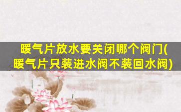 暖气片放水要关闭哪个阀门(暖气片只装进水阀不装回水阀)
