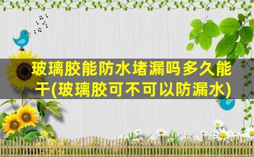 玻璃胶能防水堵漏吗多久能干(玻璃胶可不可以防漏水)