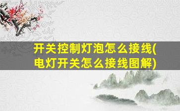 开关控制灯泡怎么接线(电灯开关怎么接线图解)