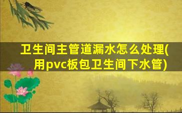 卫生间主管道漏水怎么处理(用pvc板包卫生间下水管)