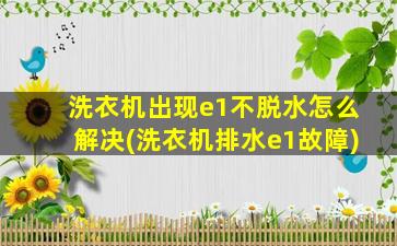 洗衣机出现e1不脱水怎么解决(洗衣机排水e1故障)