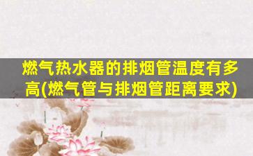 燃气热水器的排烟管温度有多高(燃气管与排烟管距离要求)