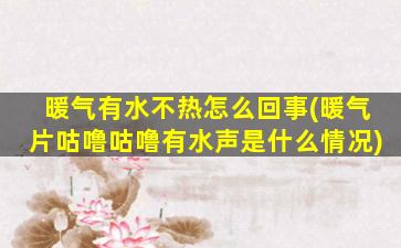 暖气有水不热怎么回事(暖气片咕噜咕噜有水声是什么情况)
