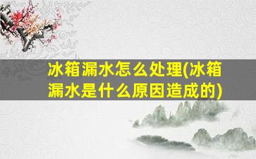 冰箱漏水怎么处理(冰箱漏水是什么原因造成的)