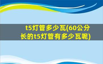 t5灯管多少瓦(60公分长的t5灯管有多少瓦呢)