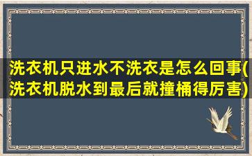 洗衣机只进水不洗衣是怎么回事(洗衣机脱水到最后就撞桶得厉害)
