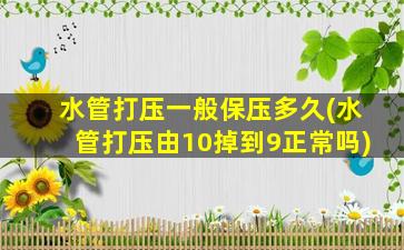 水管打压一般保压多久(水管打压由10掉到9正常吗)