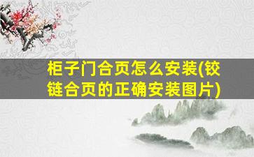 柜子门合页怎么安装(铰链合页的正确安装图片)