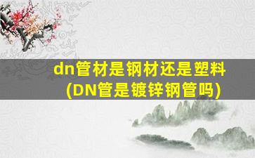 dn管材是钢材还是塑料(DN管是镀锌钢管吗)