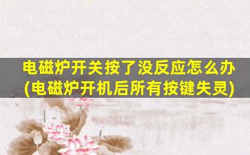 电磁炉开关按了没反应怎么办(电磁炉开机后所有按键失灵)