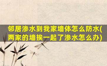 邻居渗水到我家墙体怎么防水(两家的墙挨一起了渗水怎么办)