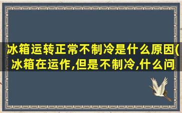 冰箱运转正常不制冷是什么原因(冰箱在运作,但是不制冷,什么问题)
