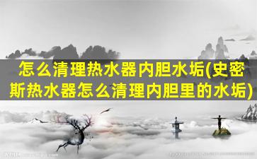 怎么清理热水器内胆水垢(史密斯热水器怎么清理内胆里的水垢)