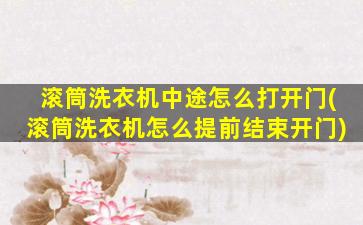 滚筒洗衣机中途怎么打开门(滚筒洗衣机怎么提前结束开门)