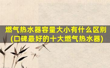 燃气热水器容量大小有什么区别(口碑最好的十大燃气热水器)