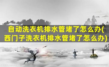 自动洗衣机排水管堵了怎么办(西门子洗衣机排水管堵了怎么办)