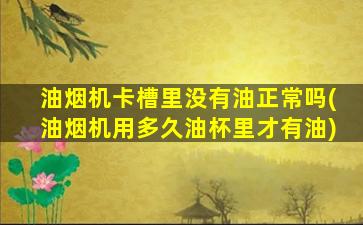 油烟机卡槽里没有油正常吗(油烟机用多久油杯里才有油)