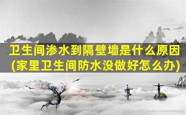 卫生间渗水到隔壁墙是什么原因(家里卫生间防水没做好怎么办)