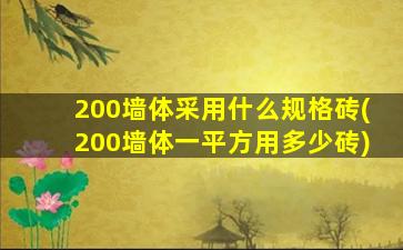 200墙体采用什么规格砖(200墙体一平方用多少砖)