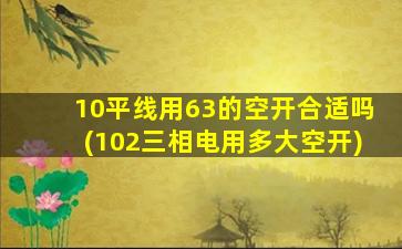 10平线用63的空开合适吗(102三相电用多大空开)