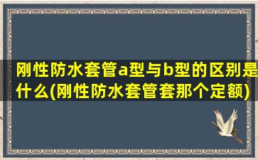 刚性防水套管a型与b型的区别是什么(刚性防水套管套那个定额)