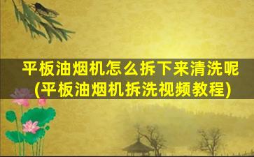 平板油烟机怎么拆下来清洗呢(平板油烟机拆洗视频教程)