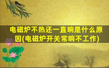 电磁炉不热还一直响是什么原因(电磁炉开关常响不工作)