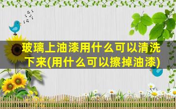 玻璃上油漆用什么可以清洗下来(用什么可以擦掉油漆)