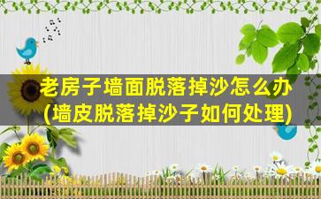 老房子墙面脱落掉沙怎么办(墙皮脱落掉沙子如何处理)