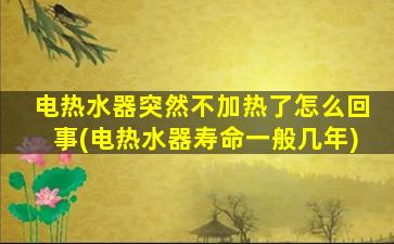 电热水器突然不加热了怎么回事(电热水器寿命一般几年)