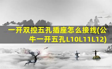 一开双控五孔插座怎么接线(公牛一开五孔L10L11L12)