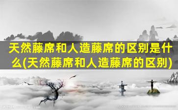 天然藤席和人造藤席的区别是什么(天然藤席和人造藤席的区别)