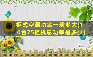 柜式空调功率一般多大(10台75柜机总功率是多少)
