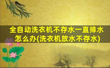 全自动洗衣机不存水一直排水怎么办(洗衣机放水不存水)