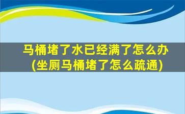 马桶堵了水已经满了怎么办(坐厕马桶堵了怎么疏通)