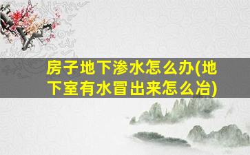 房子地下渗水怎么办(地下室有水冒出来怎么冶)