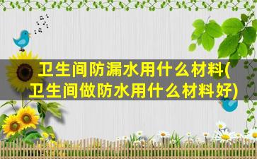 卫生间防漏水用什么材料(卫生间做防水用什么材料好)