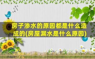 房子渗水的原因都是什么造成的(房屋漏水是什么原因)
