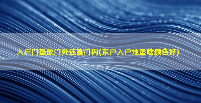 入户门垫放门外还是门内(东户入户地垫啥颜色好)