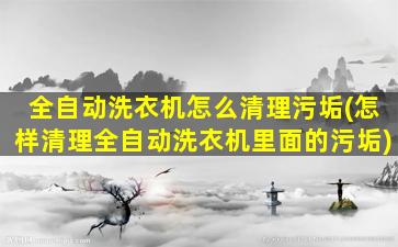 全自动洗衣机怎么清理污垢(怎样清理全自动洗衣机里面的污垢)