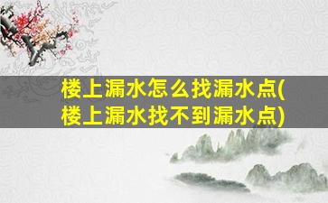 楼上漏水怎么找漏水点(楼上漏水找不到漏水点)