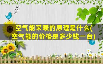 空气能采暖的原理是什么(空气能的价格是多少钱一台)