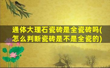 通体大理石瓷砖是全瓷砖吗(怎么判断瓷砖是不是全瓷的)